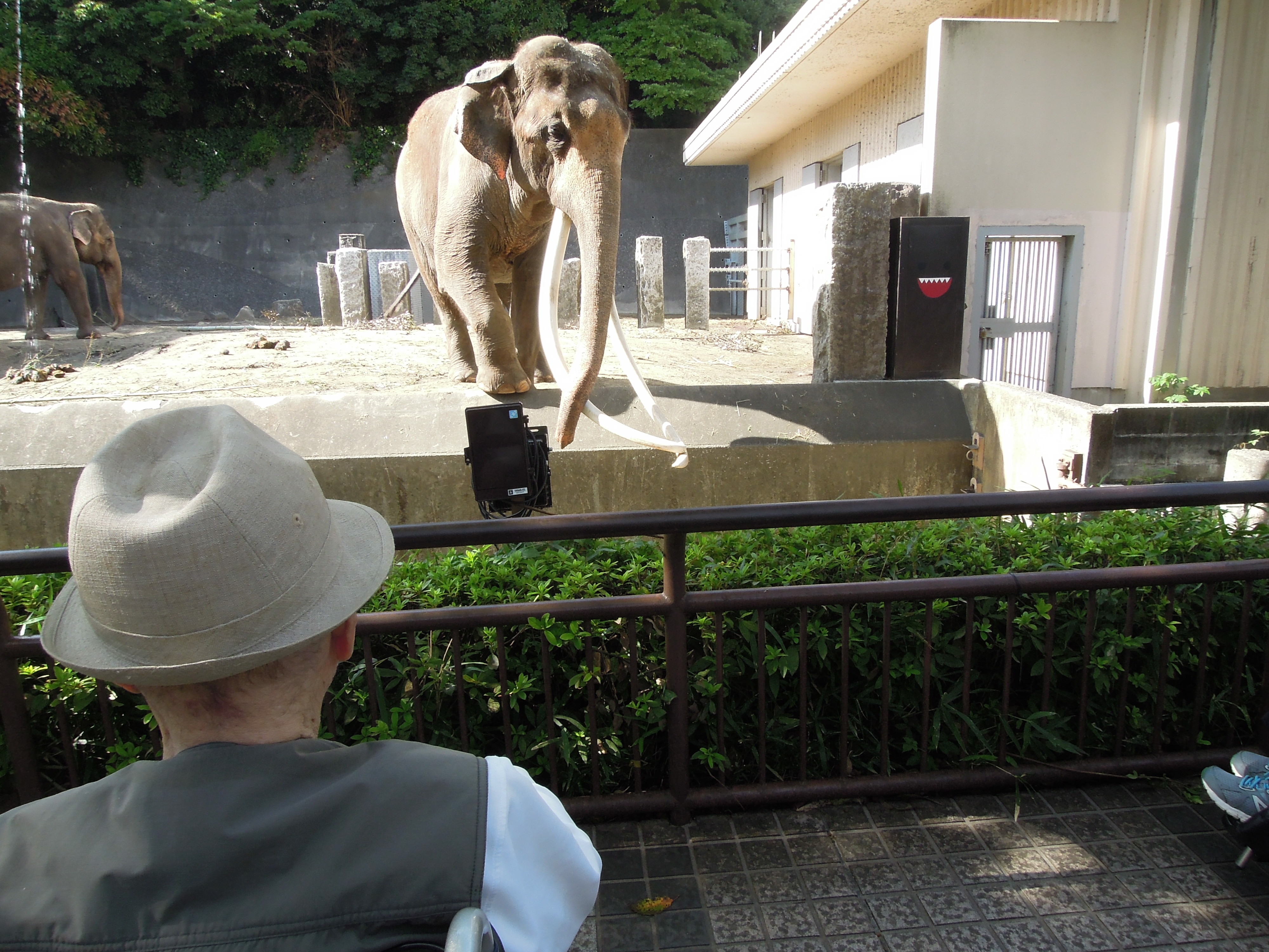 10月のイベント